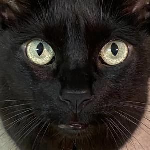 Meet your Posher, Josh